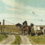 horses traditional customs