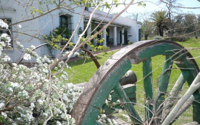 Gaucho tradition in Areco’s museum