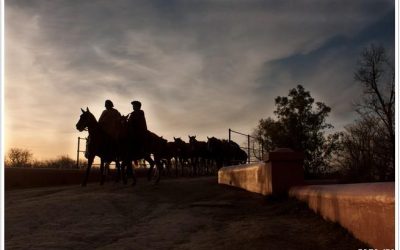 Tourism San Antonio de Areco