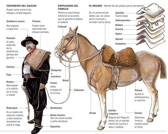 Argentinian Clothing Gaucho
