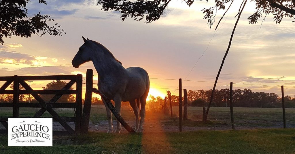 How to Plan a Gaucho Experience in Argentina